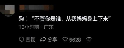 明星宠物面膜排名前十(全部明星的宠物的名字)插图11