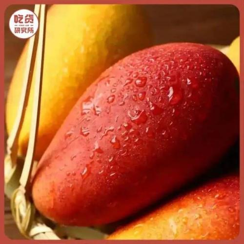 西瓜芭乐销量排名前十(芭乐要削皮吗)插图15