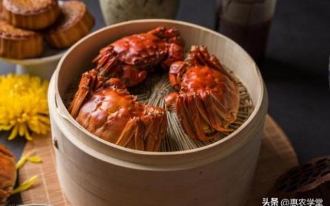 大闸蟹十大排行榜(下章鱼)