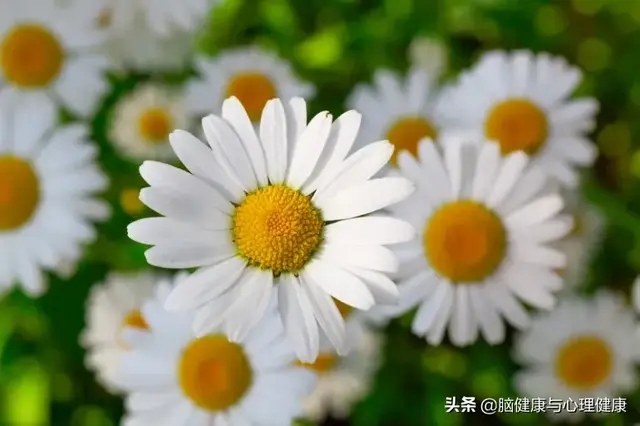 壮阳精油排行榜10强(黑豹精油修复海绵体吗)插图9