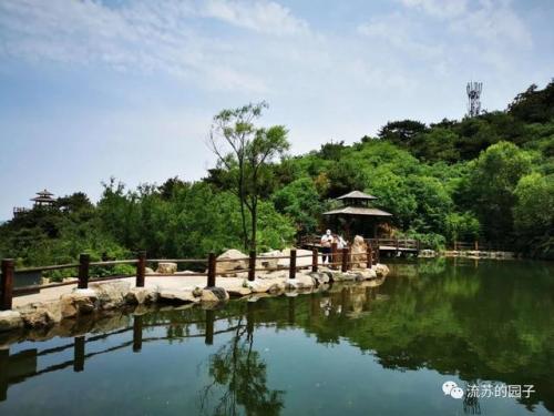 翡翠王国(翡翠到底)插图3