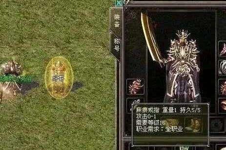 传奇世界65535(盛大正版传奇世界)插图3