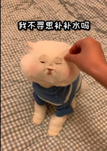 明星宠物面膜排名前十(全部明星的宠物的名字)插图23