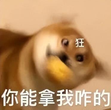 宠物测试纸排名前十(测试纸什么时候用都可以吗)插图22
