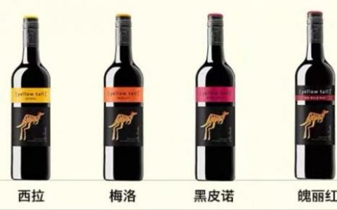 进口红酒排行榜(上海红酒贸易公司排名)