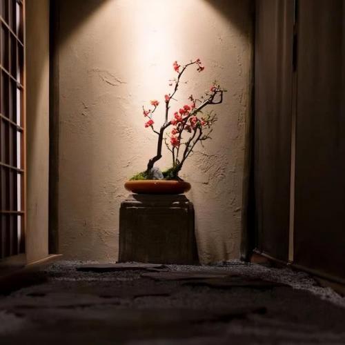 宁波室外茶室排名前十(宁波茶室哪里最好)插图9
