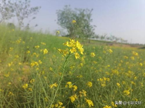 灵魂之语(灵魂语者什么意思)插图