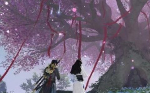 一梦江湖双人副本触发以及玩法攻略(一梦江湖如何单吃副本)
