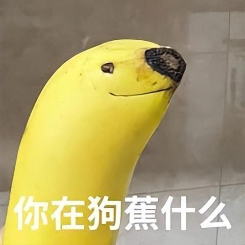 密友畅聊包(畅聊包)插图3
