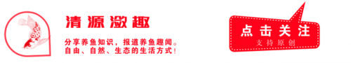 养鱼用品品牌排名前十(观赏鱼饲料十大品牌)插图