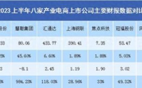 排名前十的电子商务企业(环胜电子商务是干啥的)