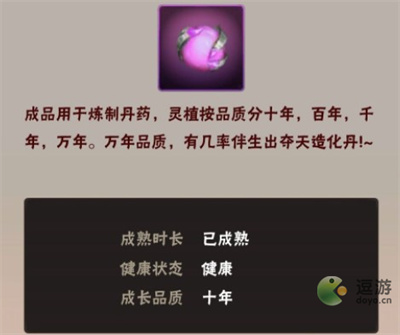 何人在渡劫炼丹玩法攻略详解(仙侠第一放置渡劫丹怎么获得)插图