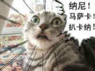 网金单机(网金online)插图1