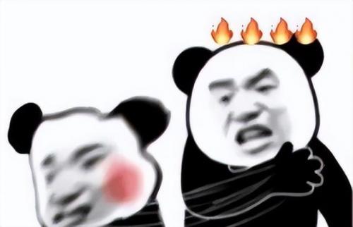 宠物测试纸排名前十(测试纸什么时候用都可以吗)插图13