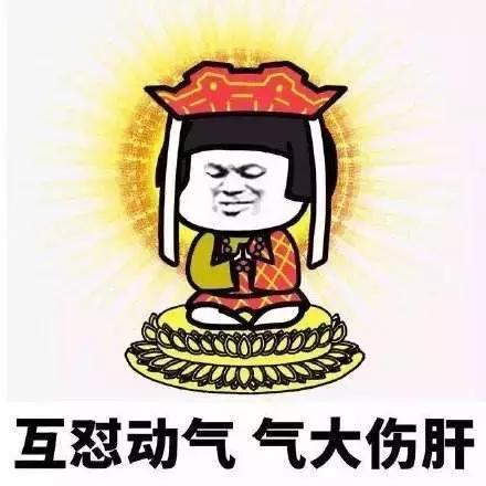 热词排行榜2017(百度百科每月十大热词)插图12