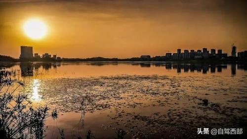 成都湿地景区排名前十(成都最美的湿地公园)插图3