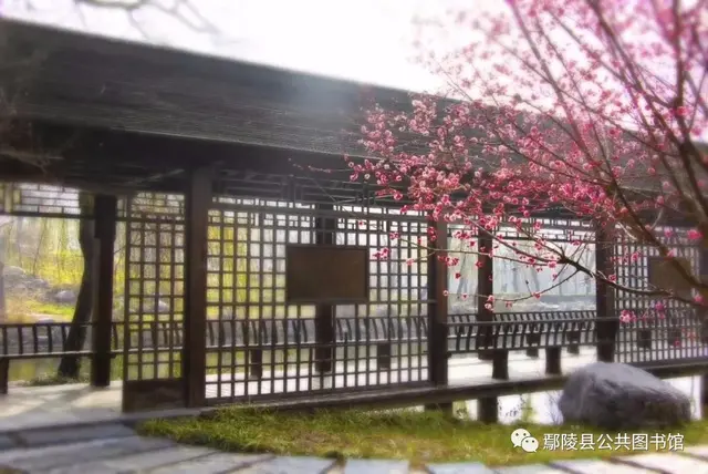 鄢陵景点排行榜(鄢陵一日游景点大全)插图1