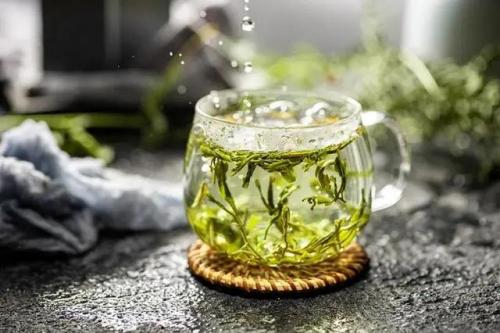 厦门品牌茶店排名前十(厦门一间茶店能挣多少钱)插图1