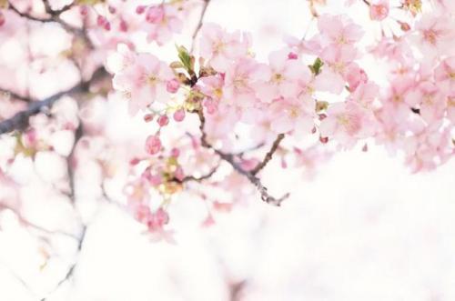 长沙高校校花排名前十(长沙校花)插图4
