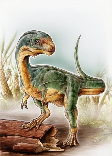 十大恐龙战斗力排行榜(十大最强恐龙排名)插图13