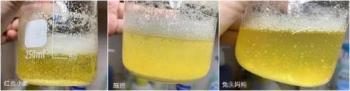 儿童洗发水品牌排行榜前十名(婴儿洗发水选购技巧)插图12