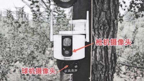 摄像机哪个牌子好(口碑最好的家用摄像头)插图1