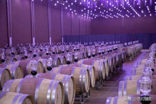 福建品质葡萄酒排名前十(精酿葡萄酒排名前十名品牌)插图30