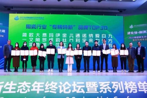 世界国家陶瓷排名前十(全球瓷砖十大名牌排行榜)插图40