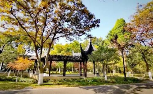 昆山好玩的地方排行榜(花桥附近有什么好玩的地方)插图13