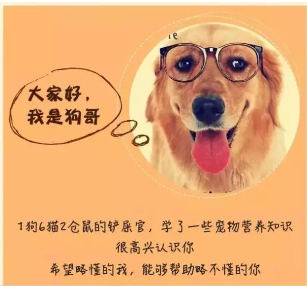 2016狗粮排行榜(十大口碑最好的狗粮)插图11
