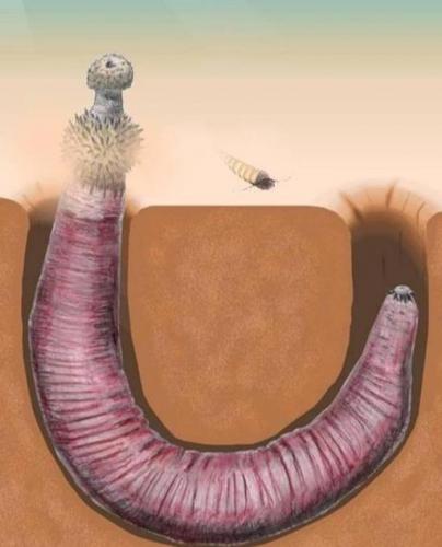 极度深寒(极度深寒里的怪物是什么生物)插图7