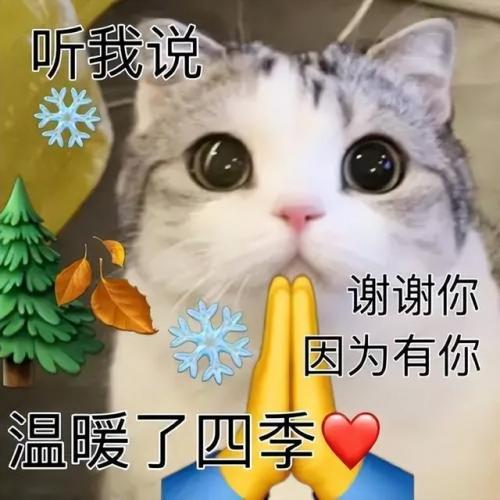 热词搜索排行榜(关键词热度查询工具)插图7