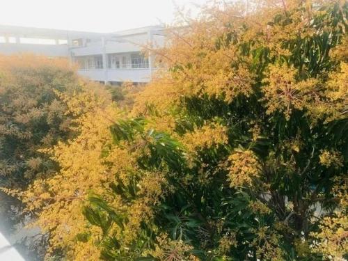 东莞高校校花排名前十(东莞最好的大学是哪一所)插图28