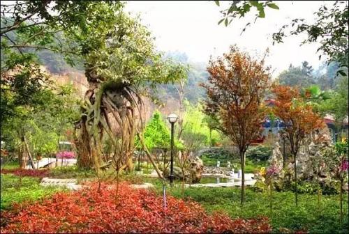 乐山婚庆酒楼排名前十(乐山上档次的中餐酒楼)插图33