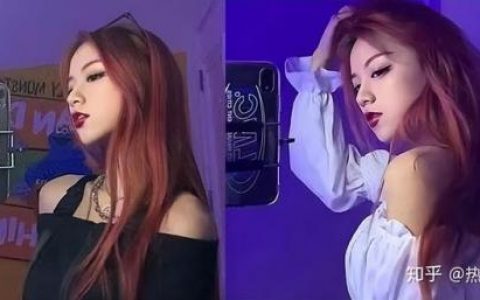 最美网红排名前十(最美网红)