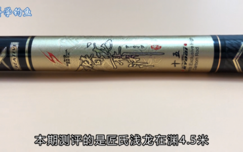 进口鱼竿排行榜(纯进口德国鱼竿什么品牌)