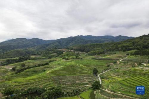 五指山在哪个省哪个市(五指山旅游景点介绍大全)插图6