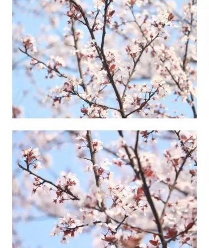 长沙高校校花排名前十(长沙校花)插图5