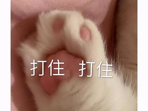 虐杀原形汉化包怎么安装(如何安装汉化补丁)插图9