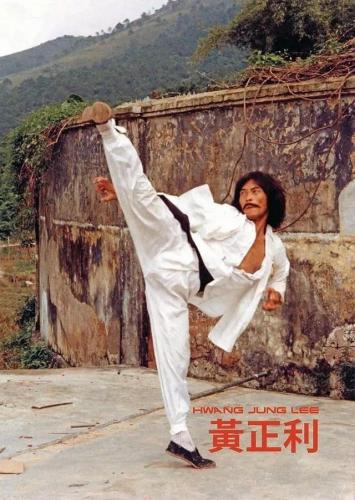 中国的武功排行榜(中国最厉害的武功是什么武功)插图20