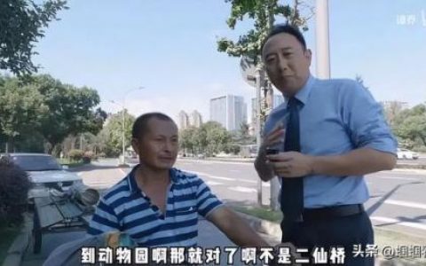 综艺节目排行榜2019(2019最火十大综艺)