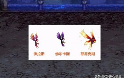 dnf宠物伊尔本还可以进化吗(dnf宠物纳扎鲁怎么进化)