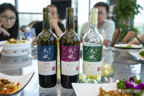 白酒酒庄排名前十(五大顶级酒庄)插图12