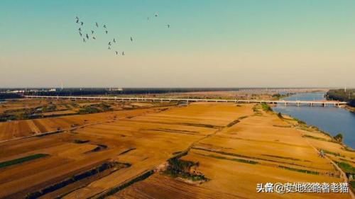 中国粮油产地排名前十(世界粮油企业排行榜)插图3