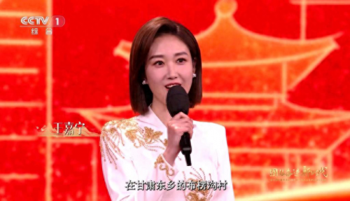沈阳都市主持人排名前十(都市十大主持人)插图11