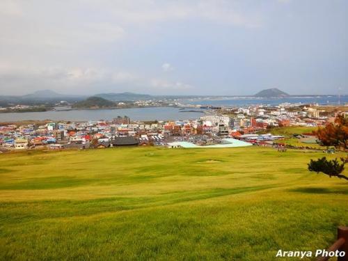济州岛旅游攻略(济州岛必去的十大景点)插图31