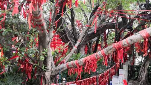 刘三姐对山歌(对山歌歌词大全一问一答)插图17