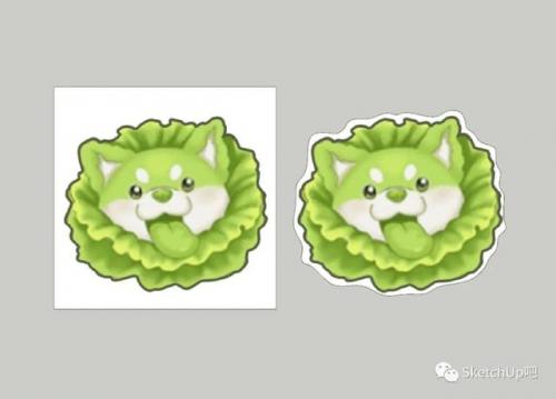 宠物测试纸排名前十(测试纸什么时候用都可以吗)插图19