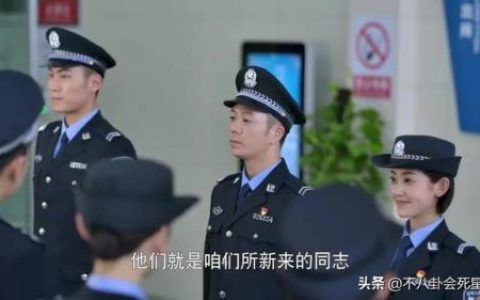 警察女演员排名前十(演过警察的女演员)