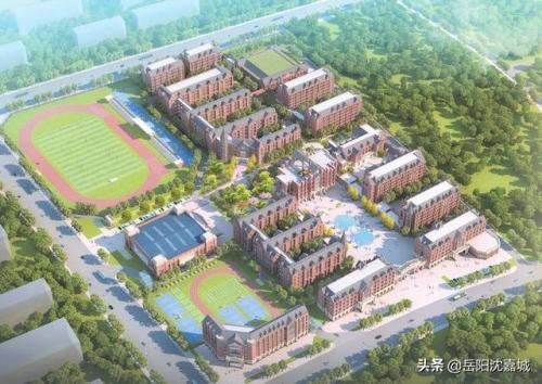岳阳学校面积排名前十(岳阳小学四大名校)插图3